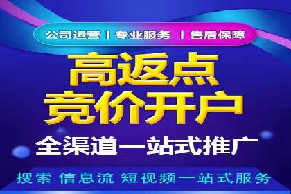 行业新秀的SEM托管代运营之路